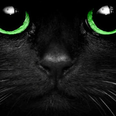 Игорь Писук, 21.05.1988, Минск