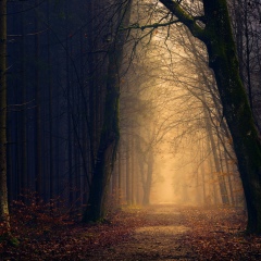 Шамад Хатуев, 18.06, Мескер-Юрт