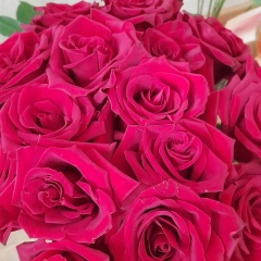 Надежда Ильдирякова