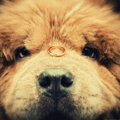 Екатерина Не, 03.12, Москва