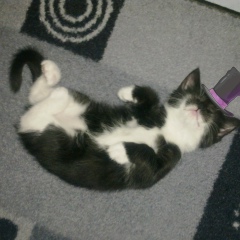 Юра Алексеев, 13.05.1990, Karlstad