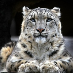 Nurlan Jumatayev, 17.04, Алматы