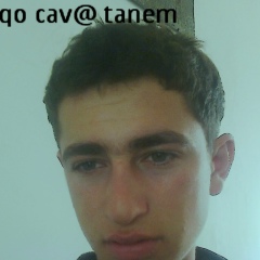 Gor Avetisyan