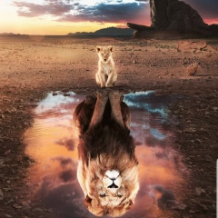 Сергей Косов, Москва