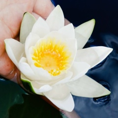 Виктория Данилова, 01.10, Санкт-Петербург