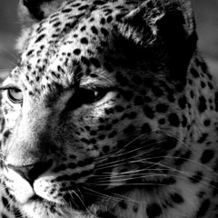 Александр Менчиков, 28.03, Омск