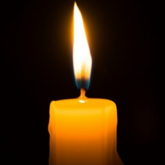 Гриша Шахтарин, 07.03