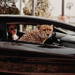 Amin Aliev, Москва