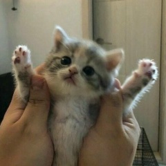 Матвей Лобов, 23.11.2001