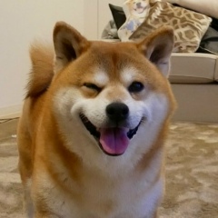 Қайрат Махсотов, 27.05.1992, Кокшетау