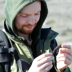 Ворон Искуственный, 25.05.1984, Москва