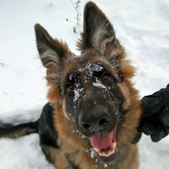 Слава Сычев, 15.04.1987, Киев