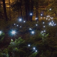 Екатерина Алексеева, 17.04.1972, Санкт-Петербург