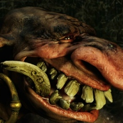 Влад Медведев, Калининград