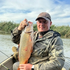 Дмитрий Краснов
