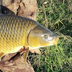 Максим Баринов, 19.08, Чебоксары