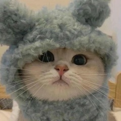 Твоя Любимая, 10.11, Волгоград