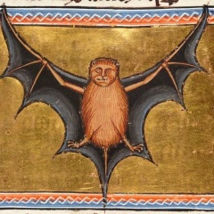 Leha Belov, 27.04.1985, Санкт-Петербург