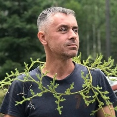 Сергей Сорокин, Санкт-Петербург