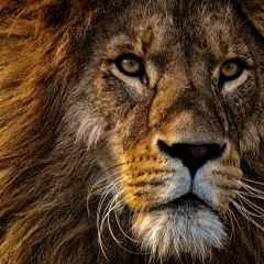 Талгат Жарылгапов, 23.04.1988, Актау