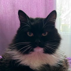 Юлия Волковская, 01.02, Москва