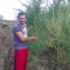 Кирилл Колесник, 26.03.1989, Харьков