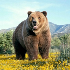 Серега Гончаров, 05.09