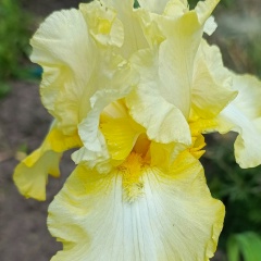 Света Владимировна, 30.03, Старый Оскол