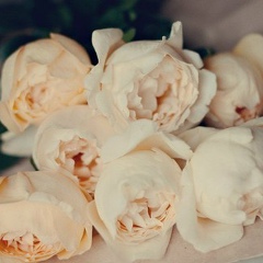 Dilyara Sadirova, 27.07