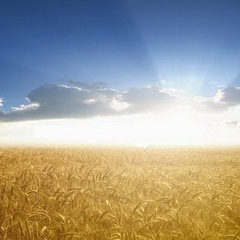 Саша Николаенко, Днепр (Днепропетровск)