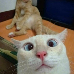 Виталий Кокорин, 16.09.1983, Мирный