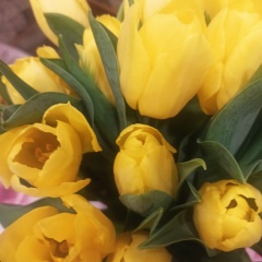 Ольга Монина, 07.12, Санкт-Петербург