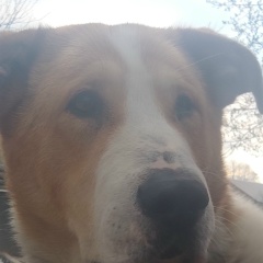 Алексей Нарожный, 09.02.1982, Москва