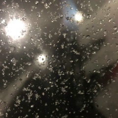 Musa King, 29.02.1996, Москва