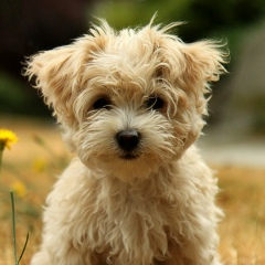 Женька Лужицький, 16.10, Львов