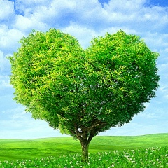 Андрей Яблоков, 02.10