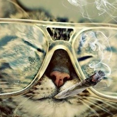 Михаил Воронов, 08.03.1989, Симферополь