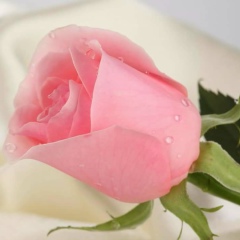 Win-Sandar Aung, 16.12.1985