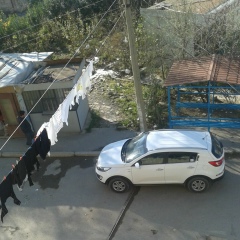 Toqrul Rzayev, 10.05, Баку
