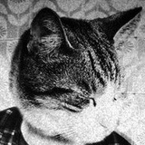 Євген Плаксін