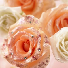 Айнагуль Ерболатова, 25.02.1977, Актау