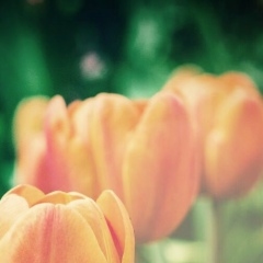 Бэла Аргунова, 07.09.1983