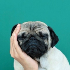 Анна Куликова, 04.09