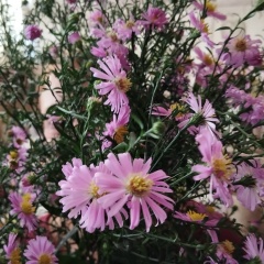 Ольга Шакурова, 29.09.1983, Санкт-Петербург