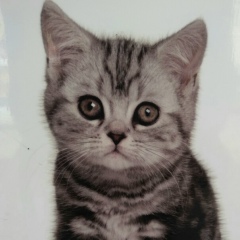 Артур Назаров