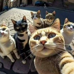 Костя Савенков, 03.12, Донецк