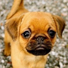 Екатерина Цабий, 17.03.1998, Сланцы