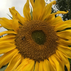 Юлия Бузмакова, 07.07, Пермь