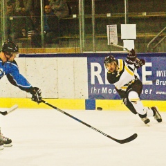 Алексей Федорченко, Wien