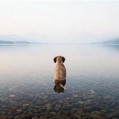 Ислам Масимов, 29.04, Алматы